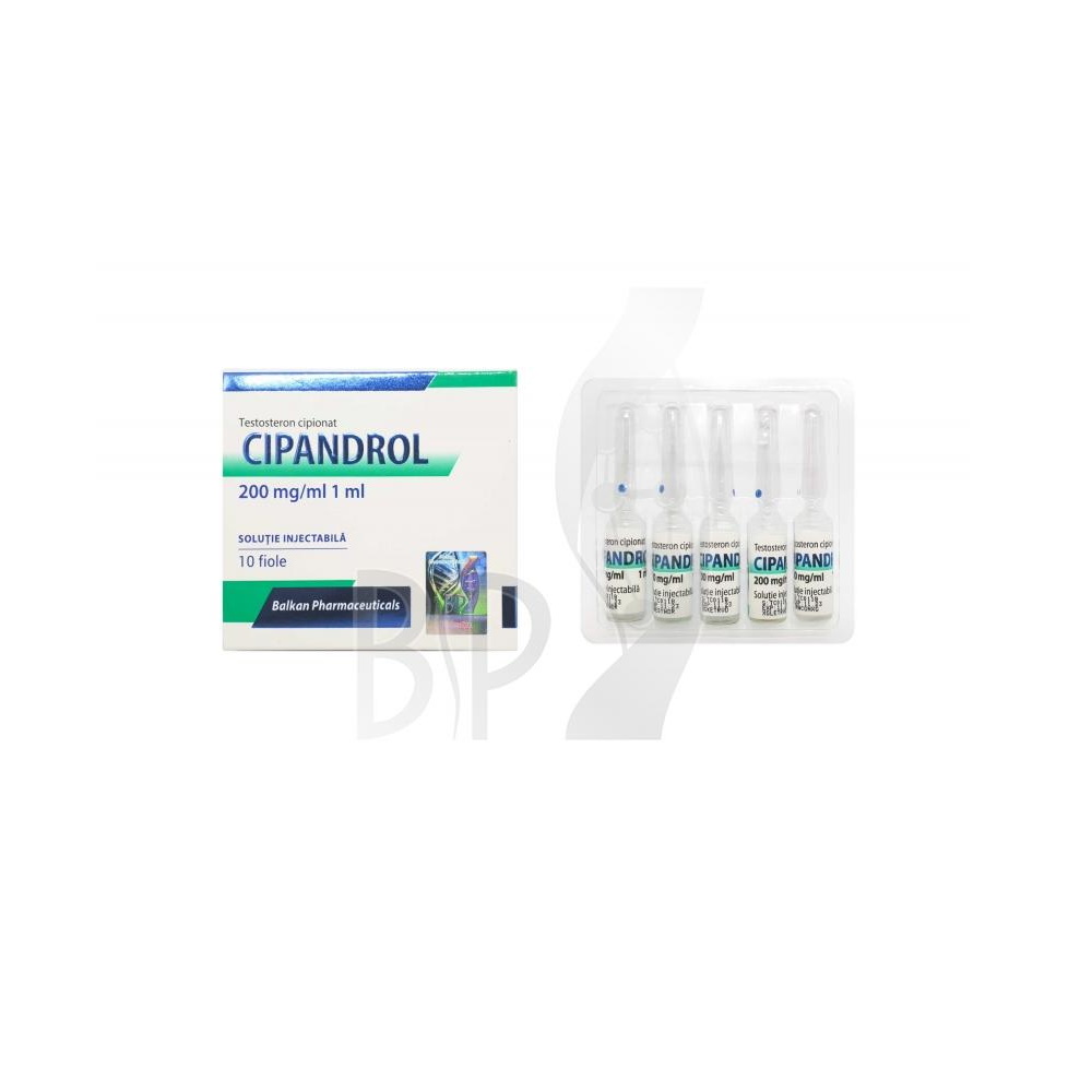 Cipandrol (Testosterone Cypionate) - 10 amp (200mg/amp)