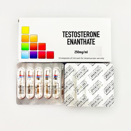 Testosterone Enanthate - 10 amp (250mg/amp)